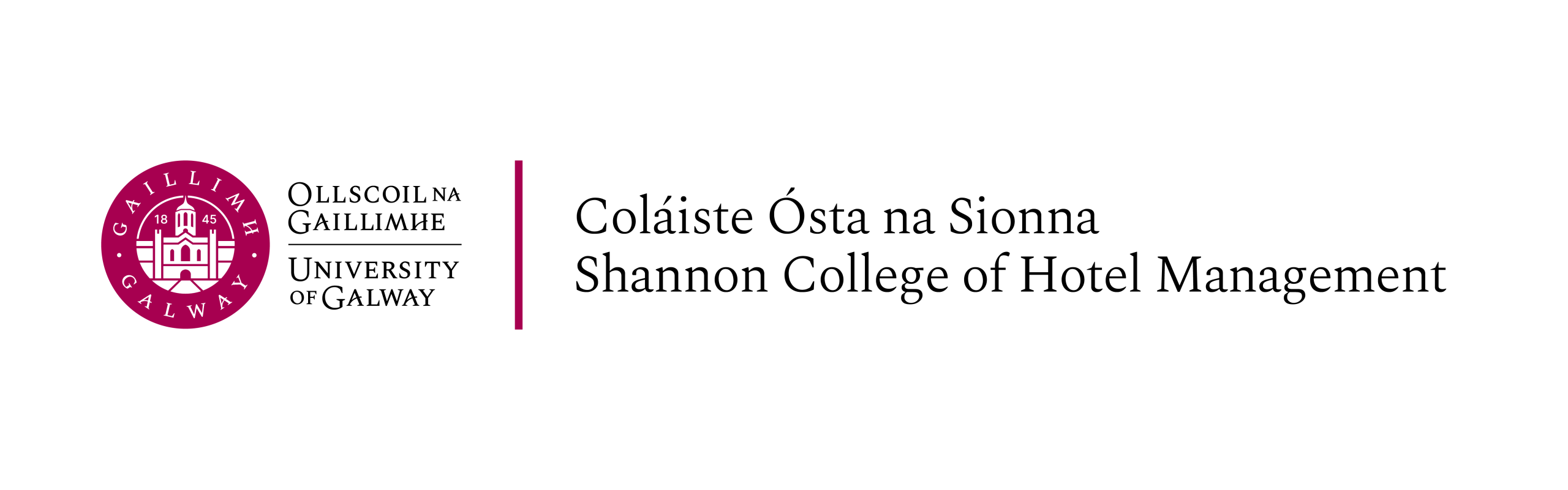 Owl Image